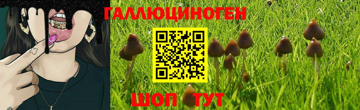 даркнет сайт  Псилоцибиновые грибы Psilocybe  Вход с VPN  Псилоцибиновые грибы Cubensis  Сарапул 